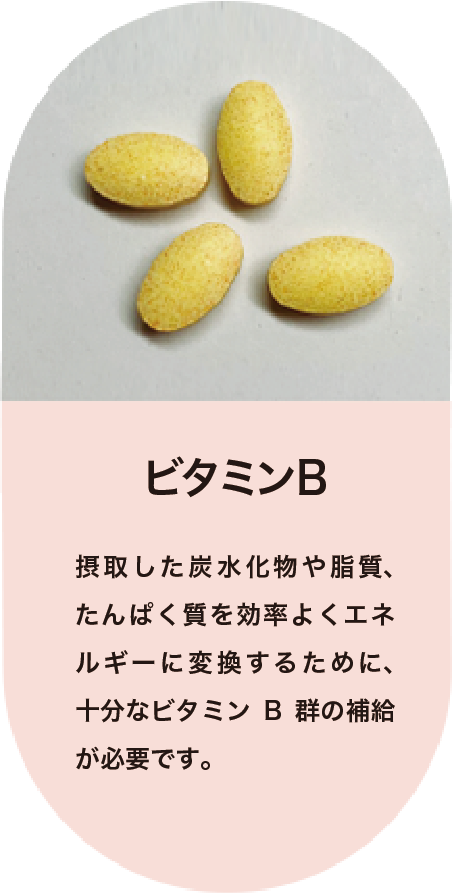 ビタミンB